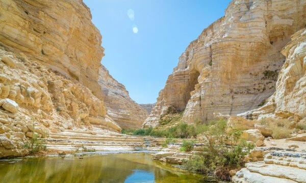 Immagine di sfondo della pagina Israele, mercato italiano al sesto posto