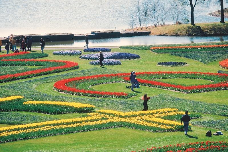 Immagine di sfondo della pagina Boscolo Tours: 3 partenze per la Floriade