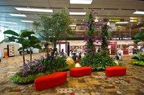 Immagine di sfondo della pagina Singapore: il Changi Airport svela i suoi piani per il futur