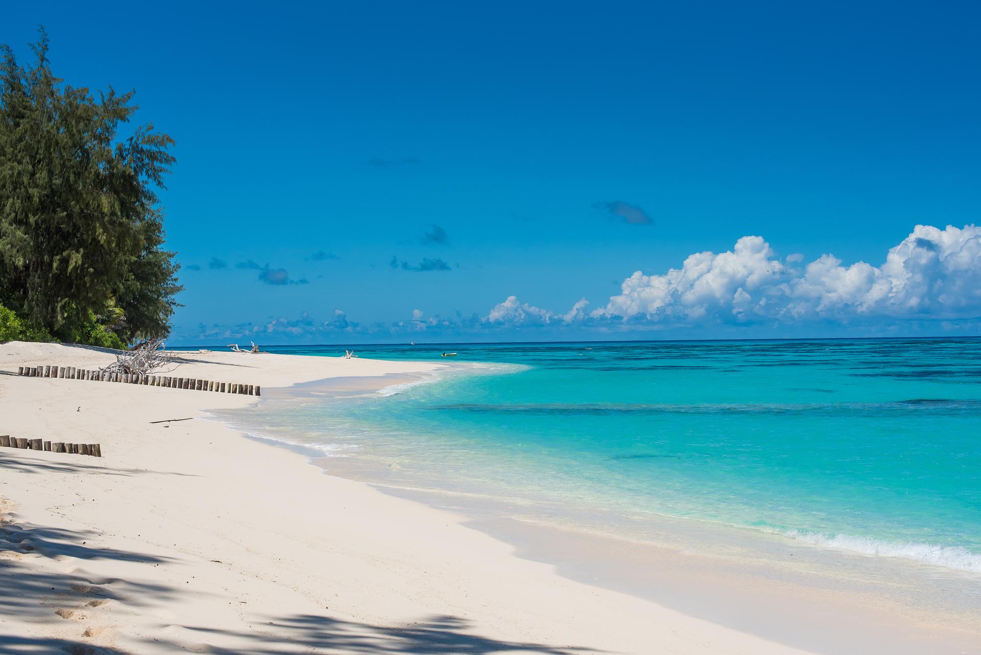 Immagine Air Seychelles lancia voli diretti per Parigi: tre frequenze settimanali dal 20 marzo 2026