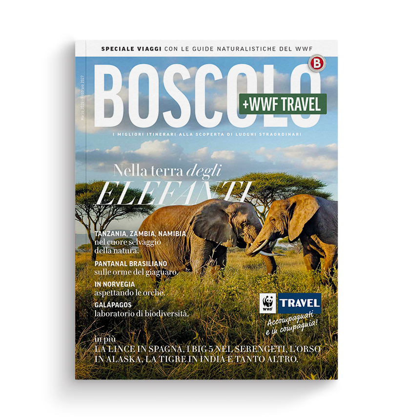 Immagine Boscolo Tours lancia i Roadshow “Testimonianze”: il viaggio raccontato dagli ospiti