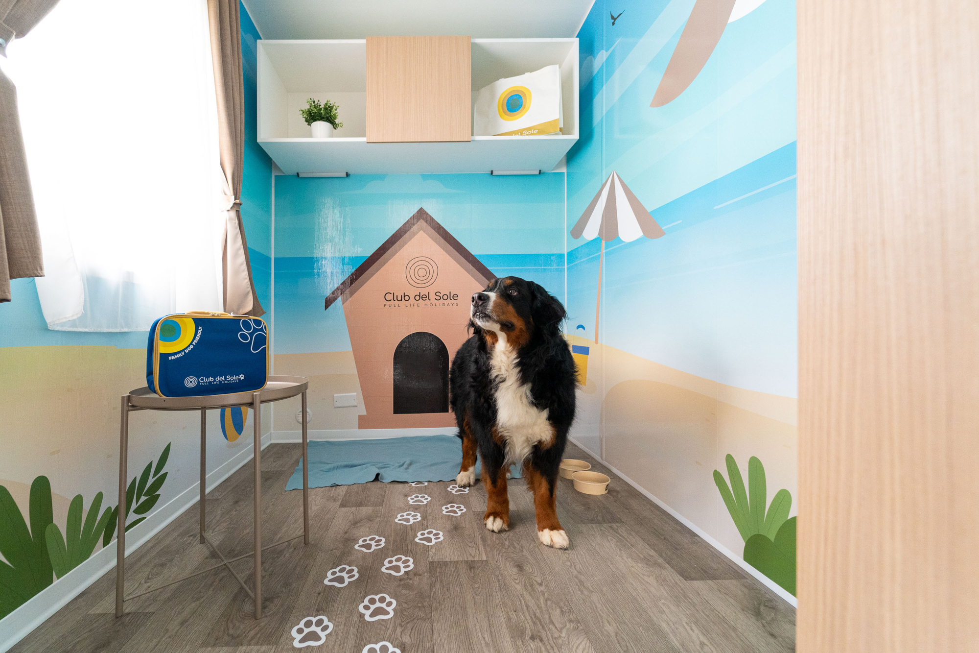 Immagine Club del Sole, nuova apertura dog-friendly in Abruzzo