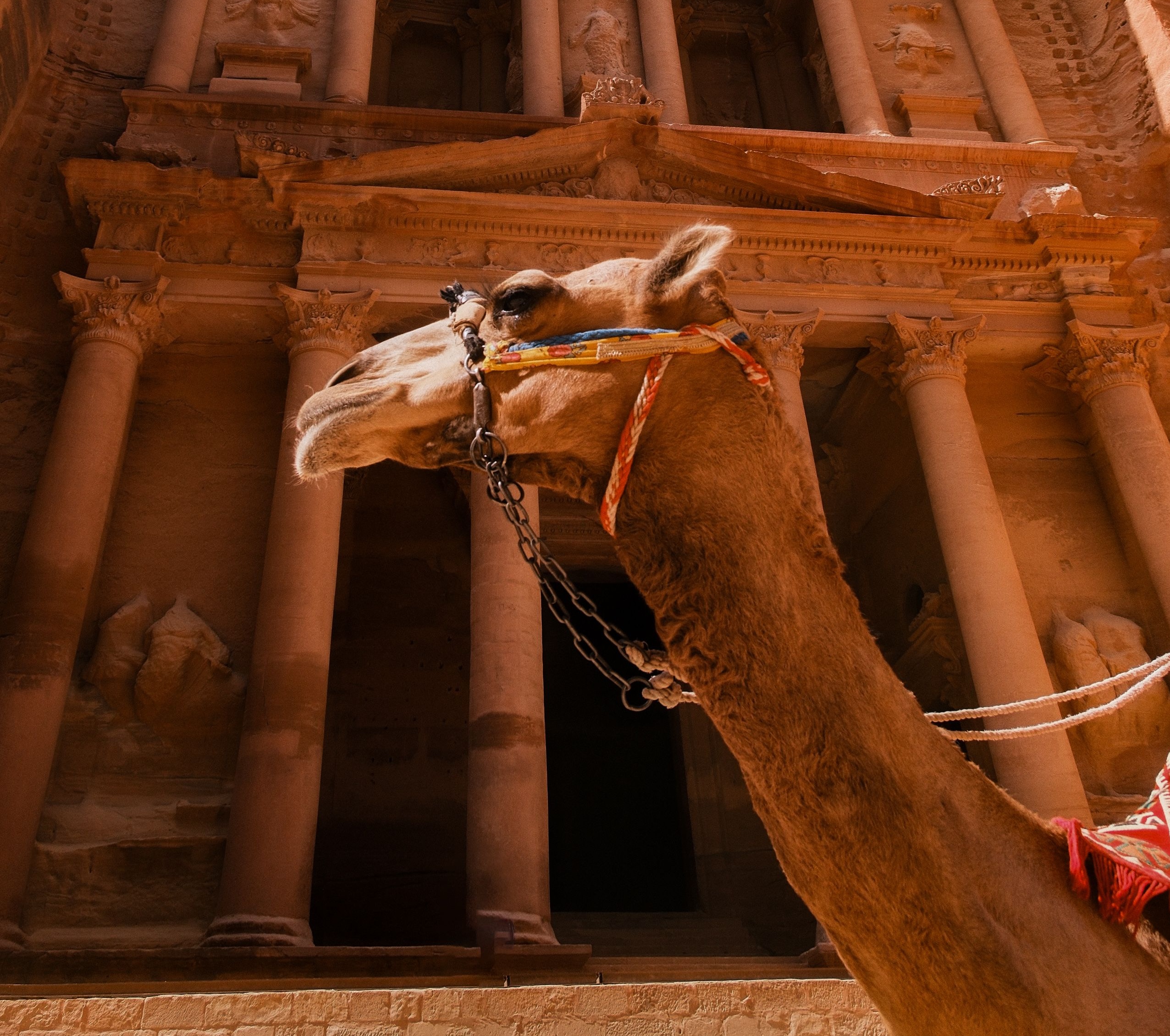 Immagine Giordania, il Jordan Tourism Board rassicura il mercato: destinazione operativa e pronta ad accogliere i visitatori