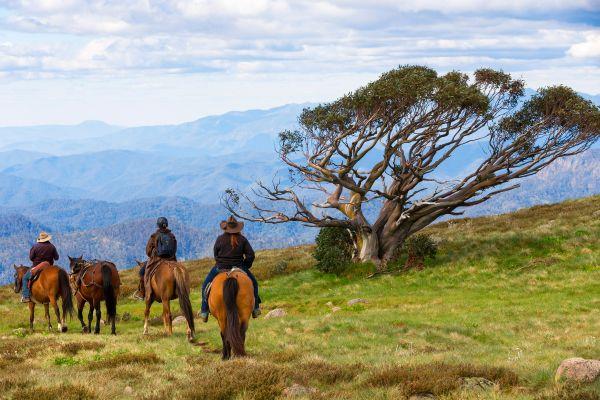 Immagine di sfondo della pagina Lonely Planet premia l'Australia