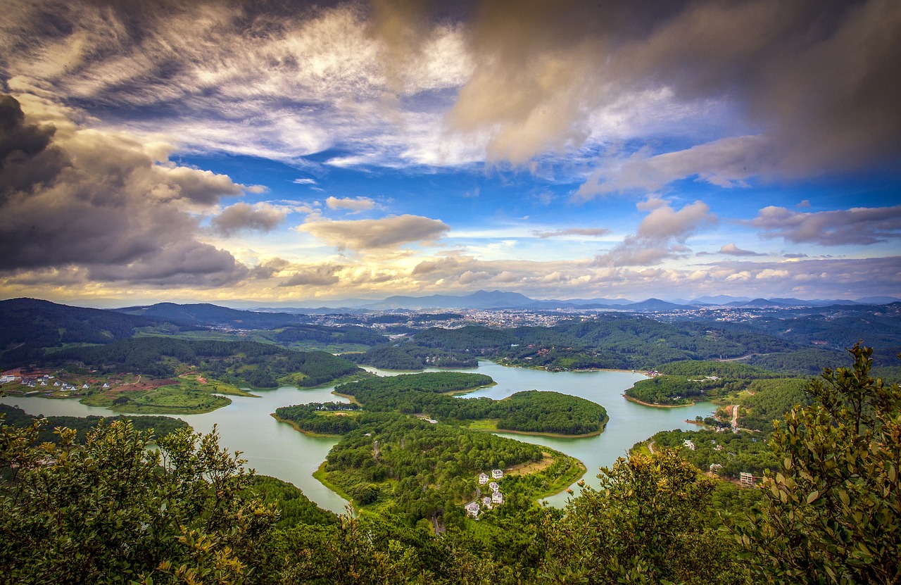 Immagine di sfondo della pagina Le Foreste Pluviali delle Fiji