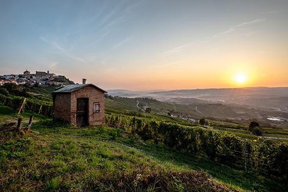 Immagine di sfondo della pagina Dieci anni di Unesco per Langhe Roero e Monferrato