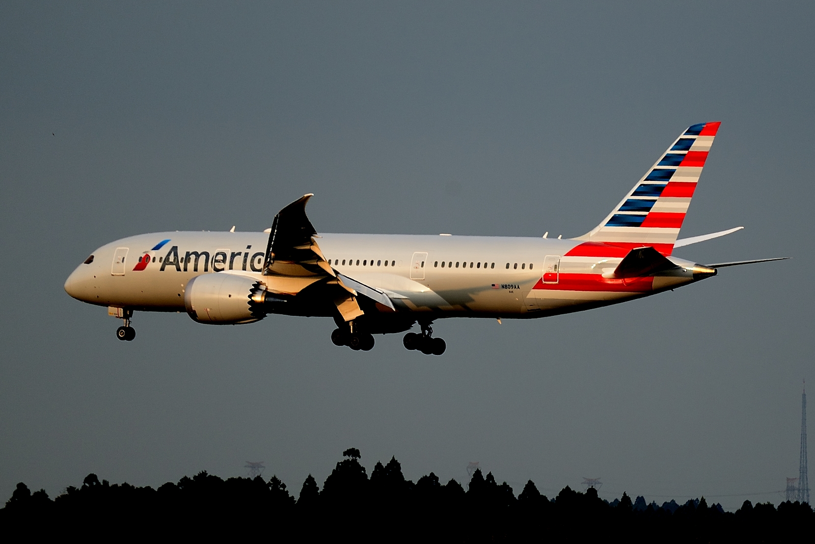Immagine American Airlines: sei rotte da Roma per la summer