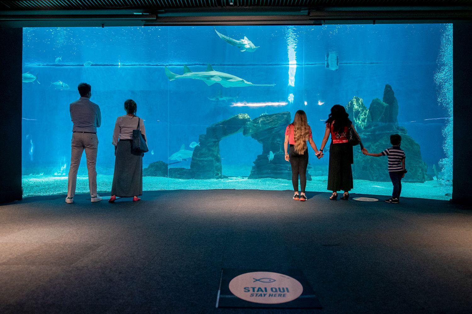 Immagine di sfondo della pagina Acquario di Genova, promozioni per famiglie