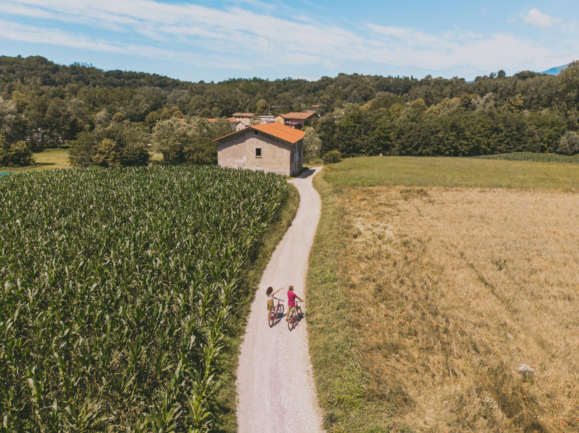 Immagine Passione Bicicletta: libertà, salute ed ecologia su due ruote con Space Hotels
