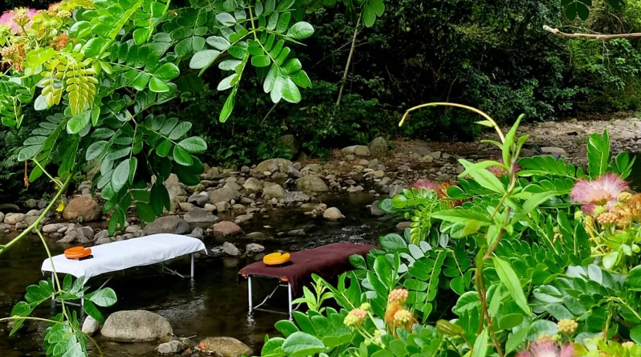 Immagine Martinica punta sul wellness: l’isola francese dei Caraibi si presenta come nuova meta benessere