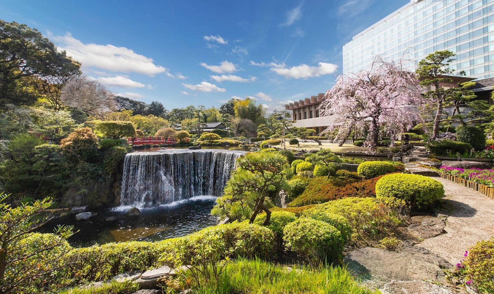 Immagine di sfondo della pagina Tokyo primavera 2026: musei, mostre e nuove esperienze tra sakura e creatività