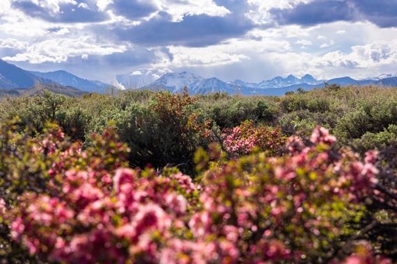 Immagine di sfondo della pagina Mammoth Lakes: novità outdoor, eventi sportivi e nuove aperture per la primavera-estate 2025