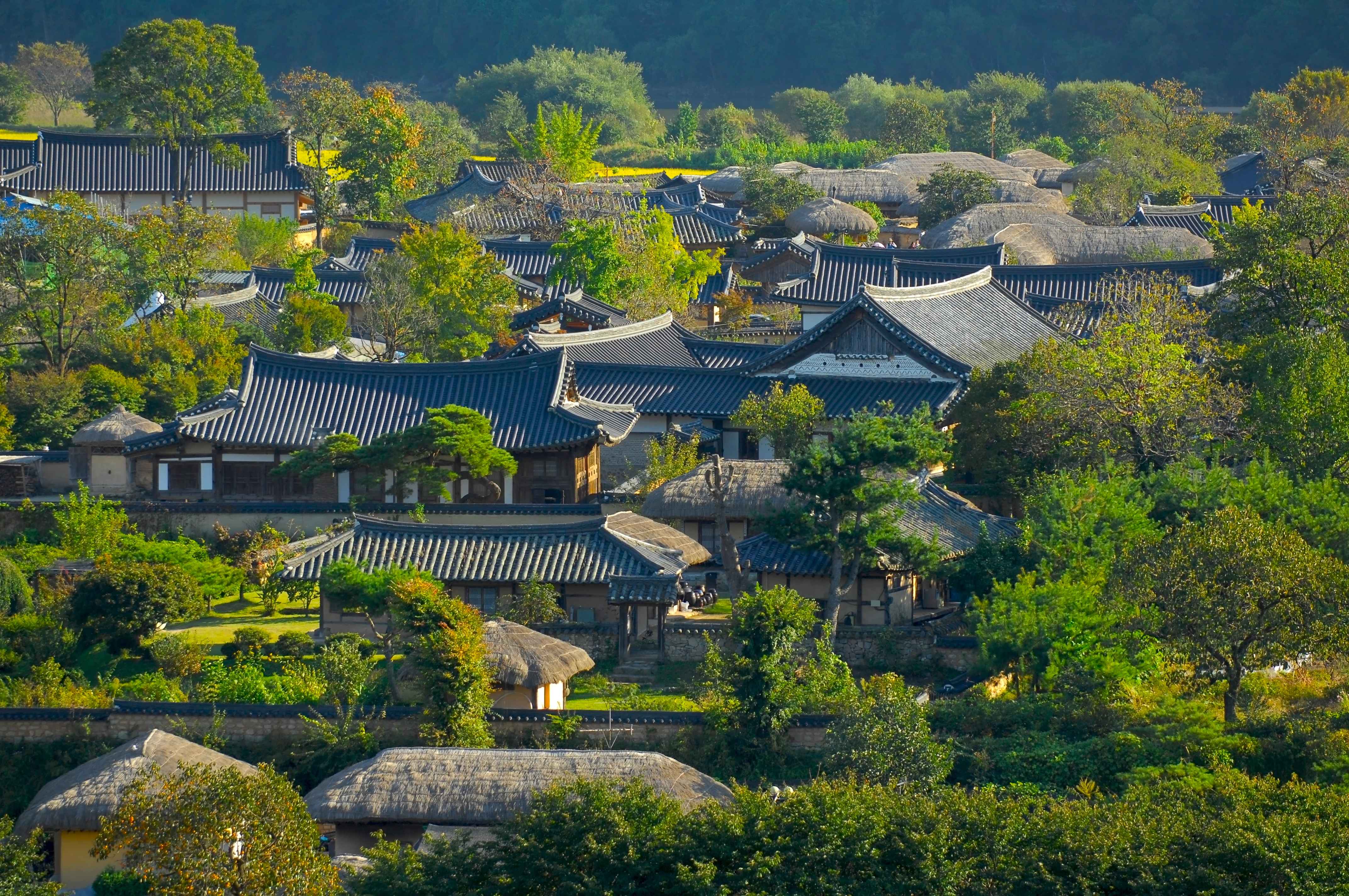 Immagine di sfondo della pagina Corea del Sud: viaggio nei luoghi simbolo dei K-Drama