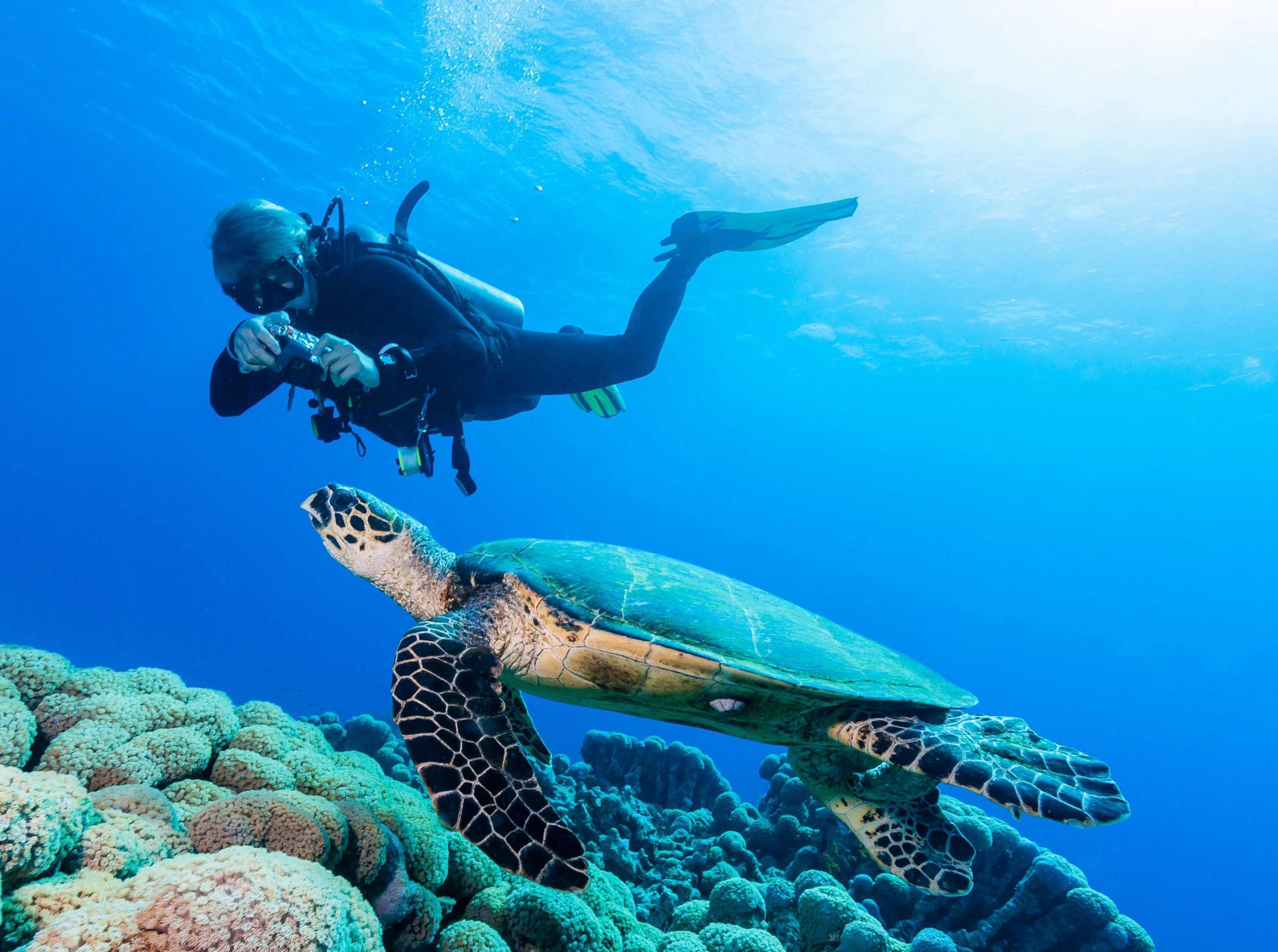 Immagine Bahamas, nuovi sviluppi crocieristici e offerte: investimenti, eventi e focus sulle Berry Islands