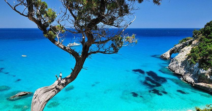 Immagine di sfondo della pagina Numeri positivi per MySunSea tour operator 