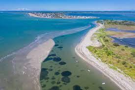 Immagine di sfondo della pagina Lignano: escursioni sea and taste e visite guidate