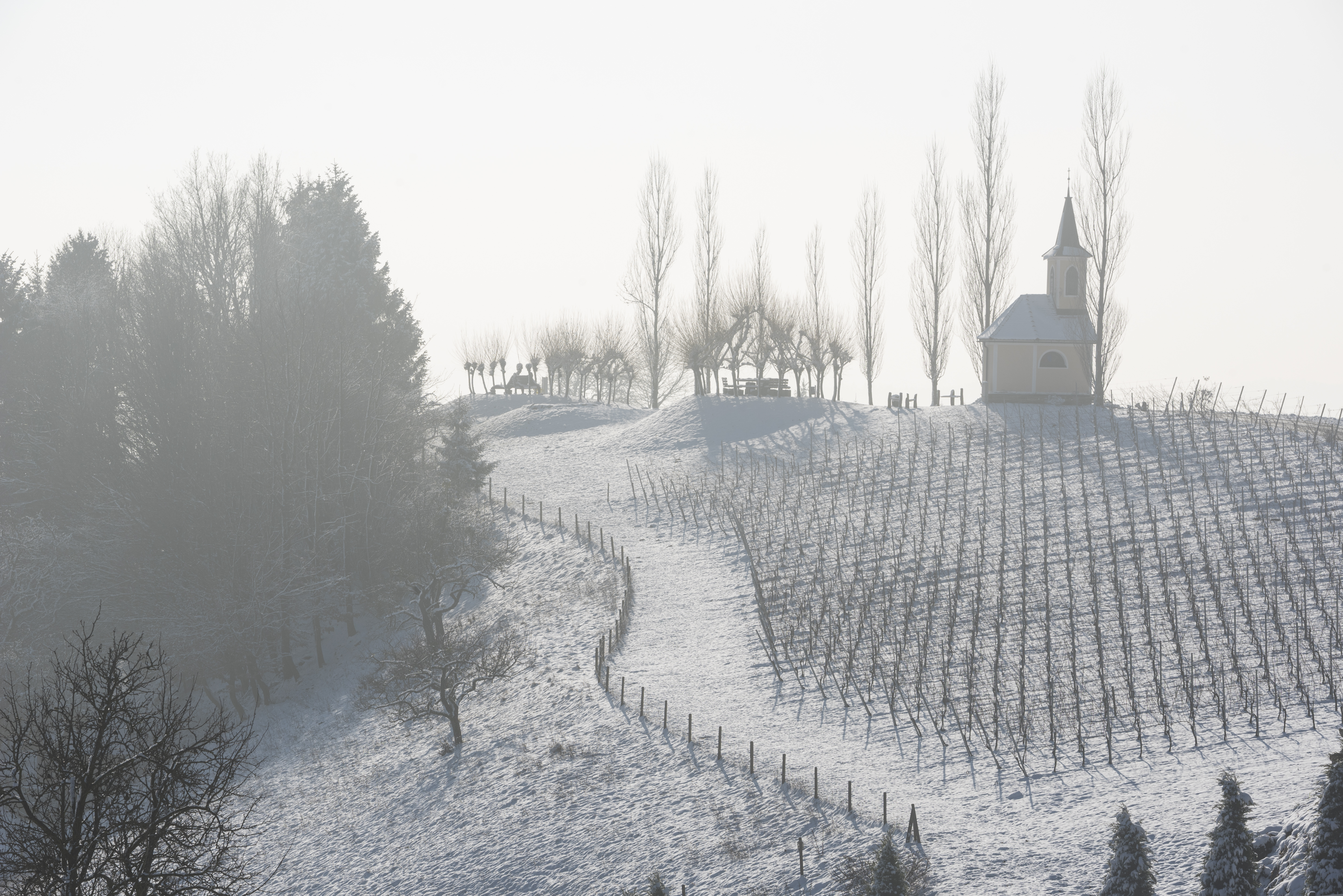 Inverno©Bernhard_Bergmann (26)