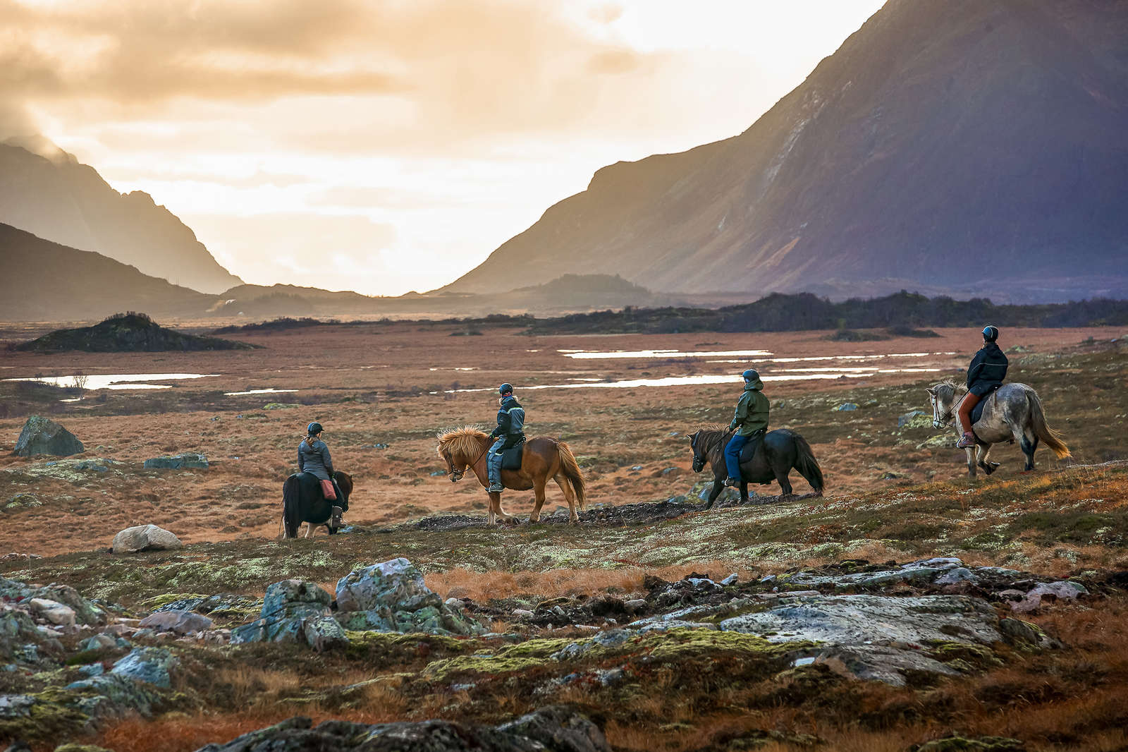 Immagine di sfondo della pagina Volonline lancia Horse Voyage: l’equiturismo diventa un viaggio d’autore