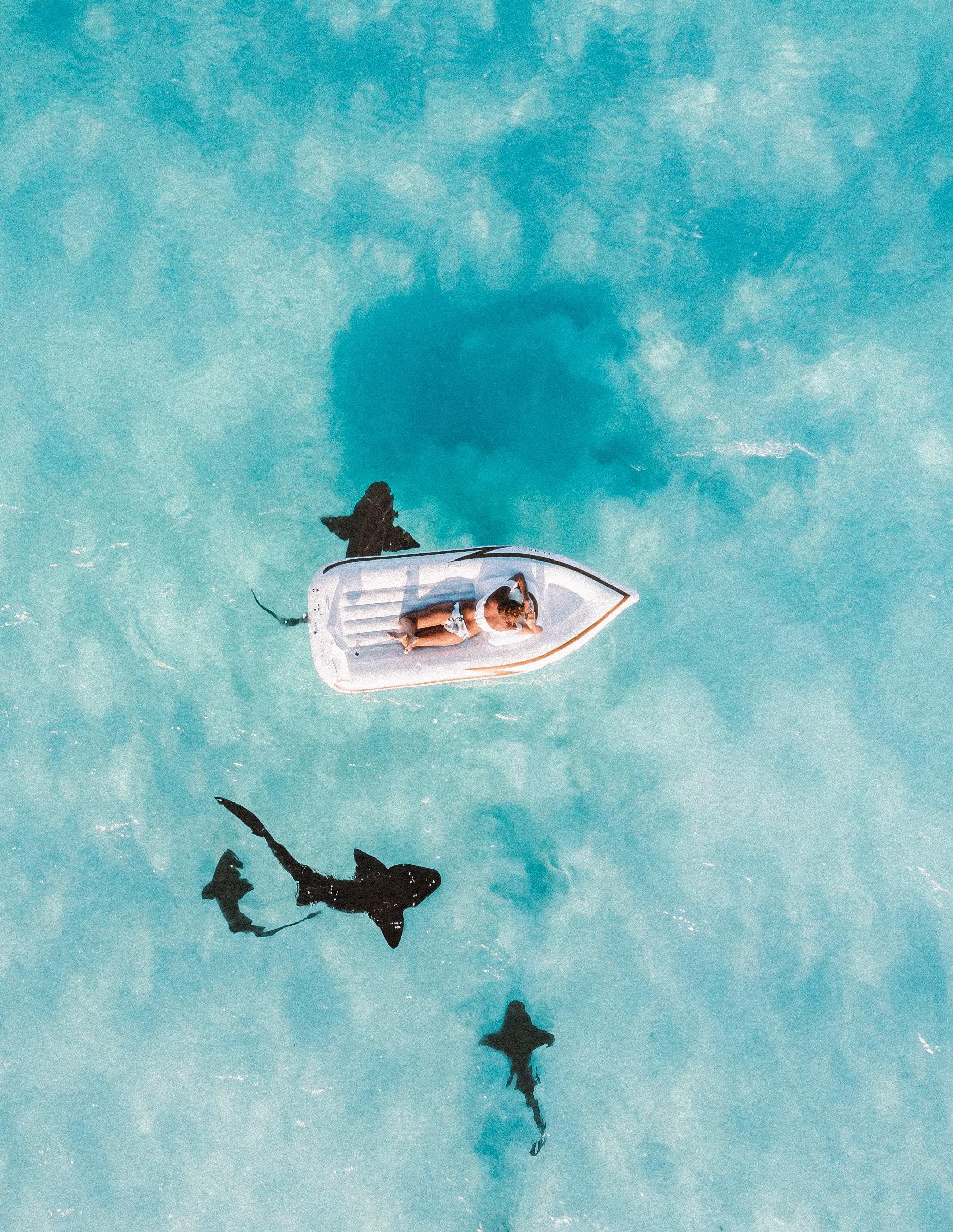 Immagine di sfondo della pagina Sea Explorer, nuove promozioni sulle Maldive