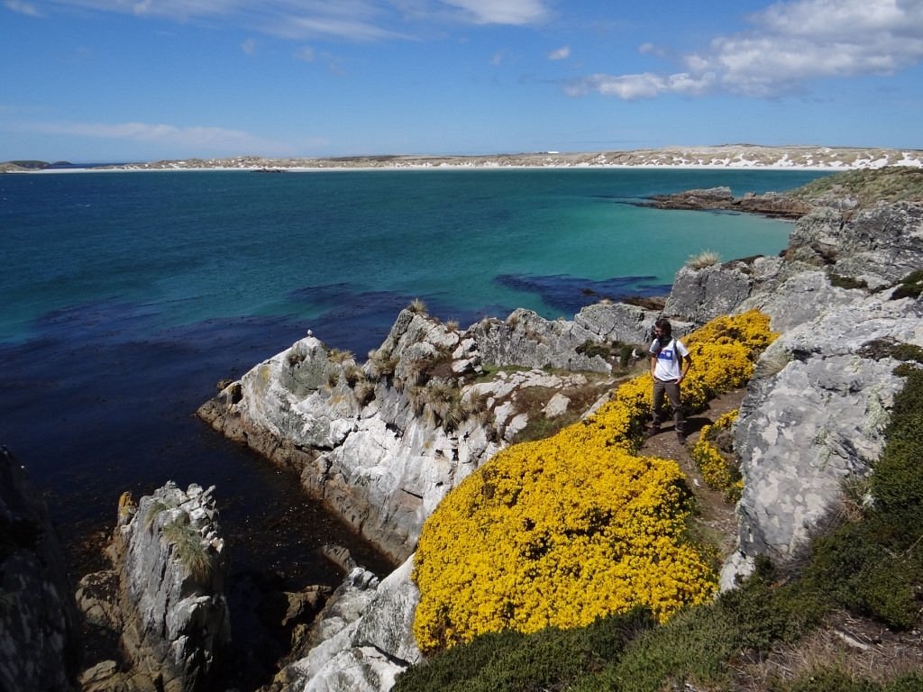 Immaigne dell'articolo Escursione a Gypsy Cove