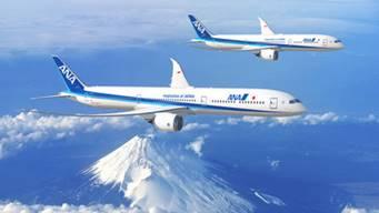 Immagine di sfondo della pagina Venti nuovi Dreamliner per Ana Holdings