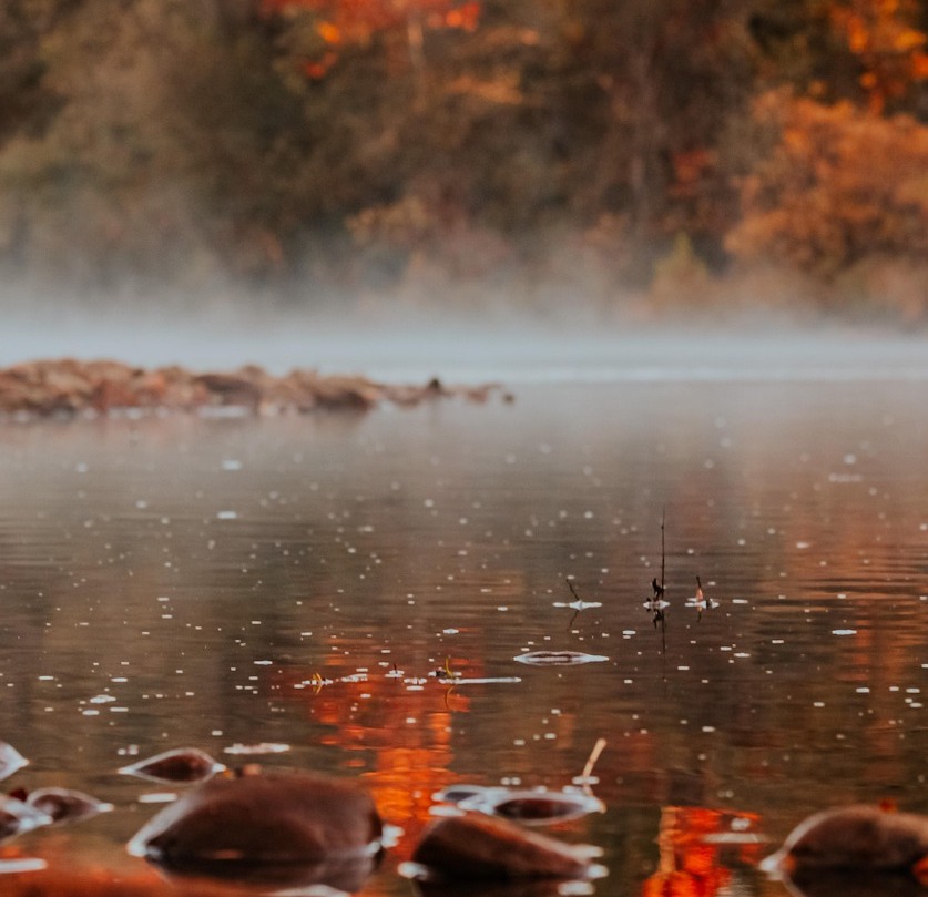 Immagine di sfondo della pagina Outdoor, sostenibilità e accessibilità: l’Arkansas rilancia la sua proposta turistica