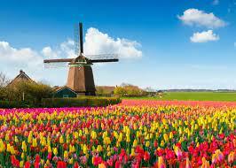 Immagine di sfondo della pagina Olanda & Belgio by Guiness Travel oggi alle 14