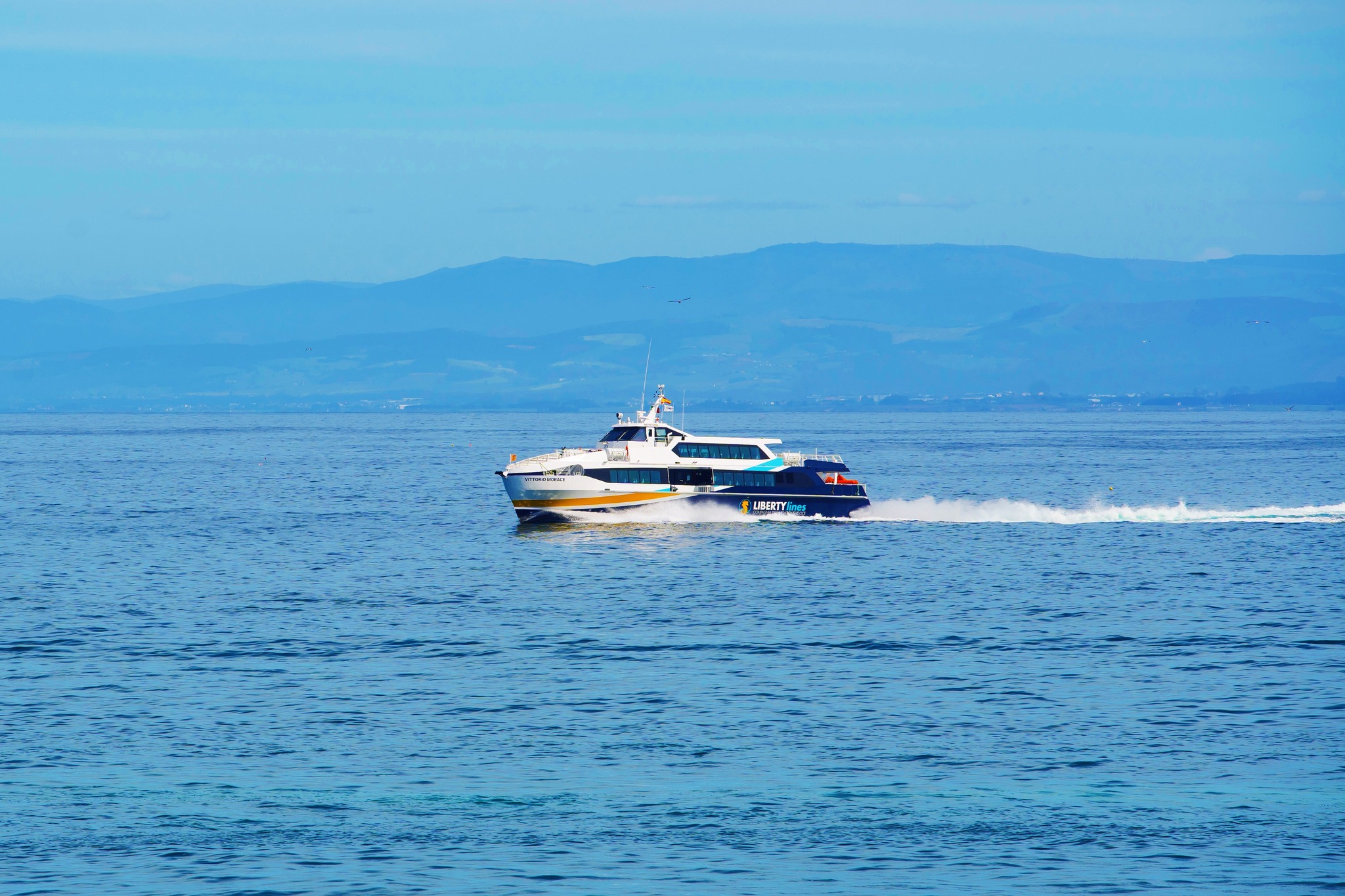 Immagine Liberty Lines rafforza il proprio Organismo di Vigilanza