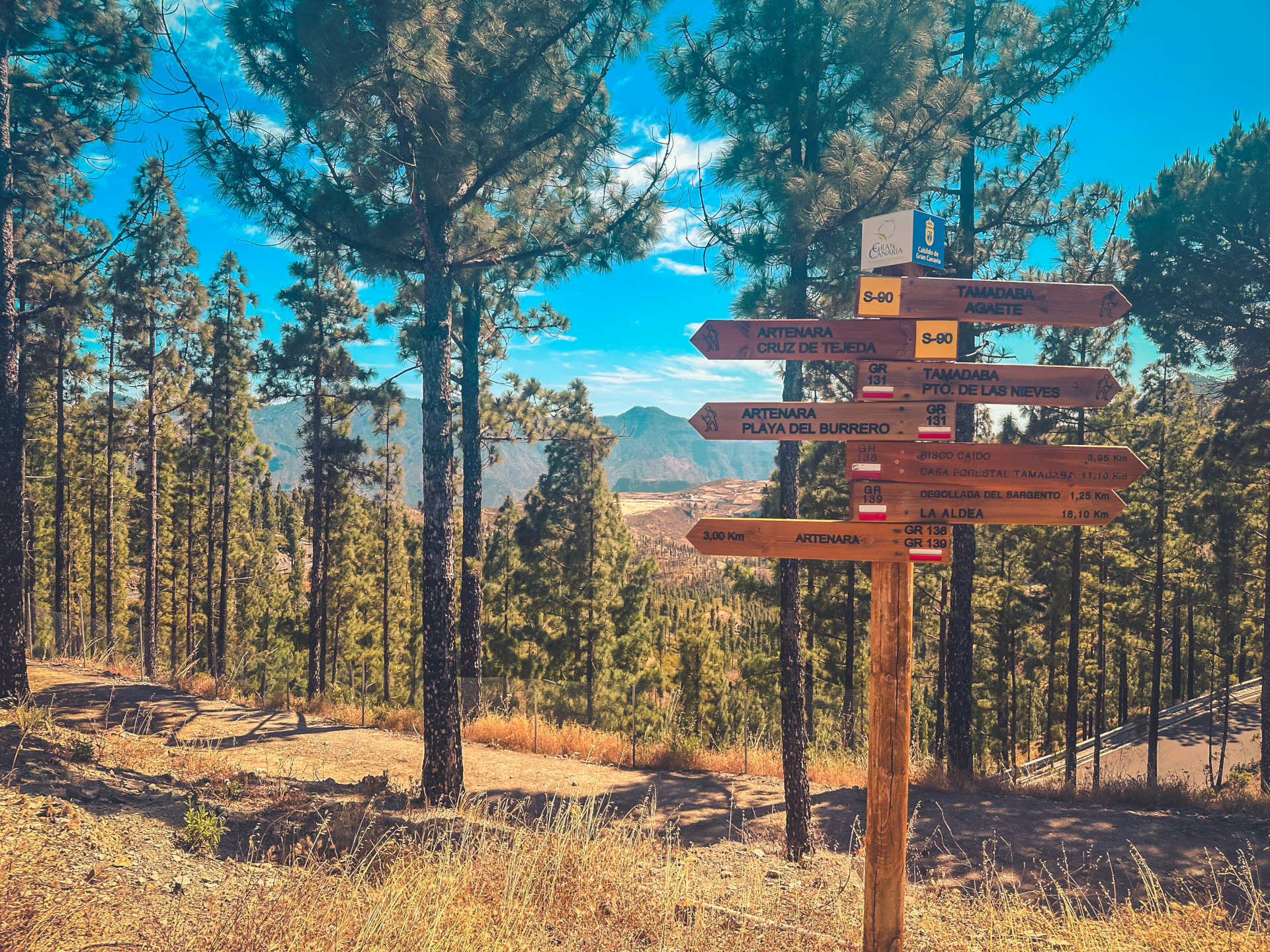 Immagine Gran Canaria Walking Festival 2025: l’isola si scopre passo dopo passo