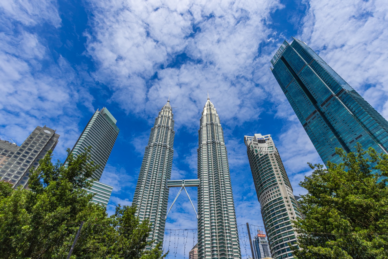 Immagine Tourism Connection al TTG 2026 con due nuove DMC: KOBO Safaris e Within Earth