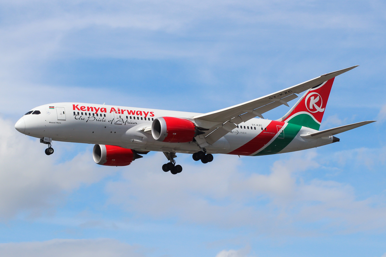 Immagine di sfondo della pagina Kenya Airways e Safarilink: un unico biglietto per volare verso i safari del Kenya