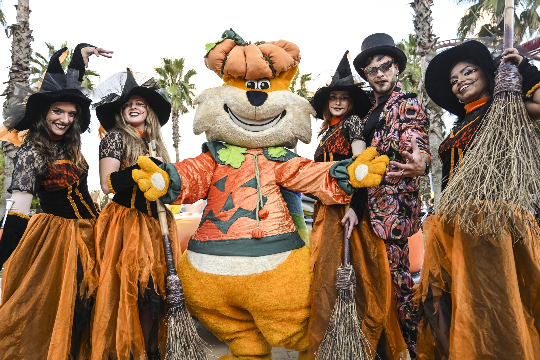 Immagine MagicLand, Halloween da brividi con Magic Nights – Horror Edition