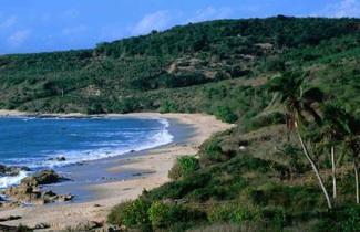 Immagine di sfondo della pagina Ghana, Costa D'oro tutta da scoprire 