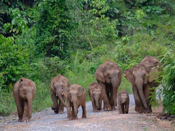Immagine di sfondo della pagina WWF Travel in partnership con Biosfera Itinerari