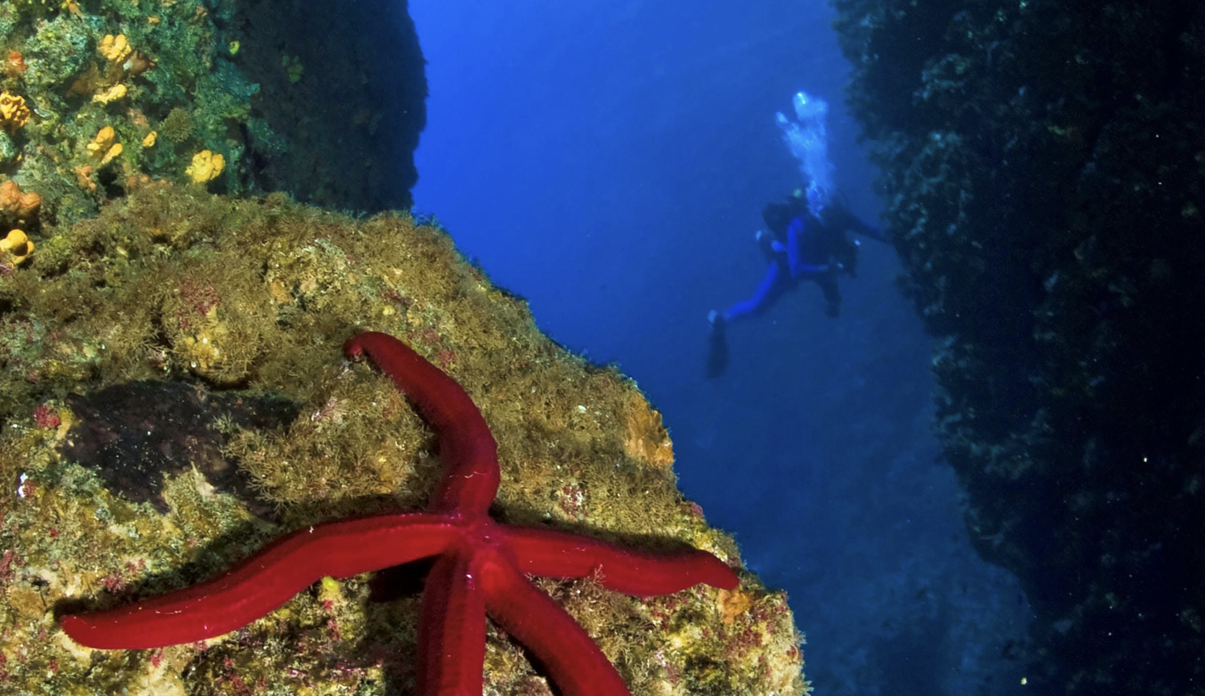 Immagine Immersioni in Albania