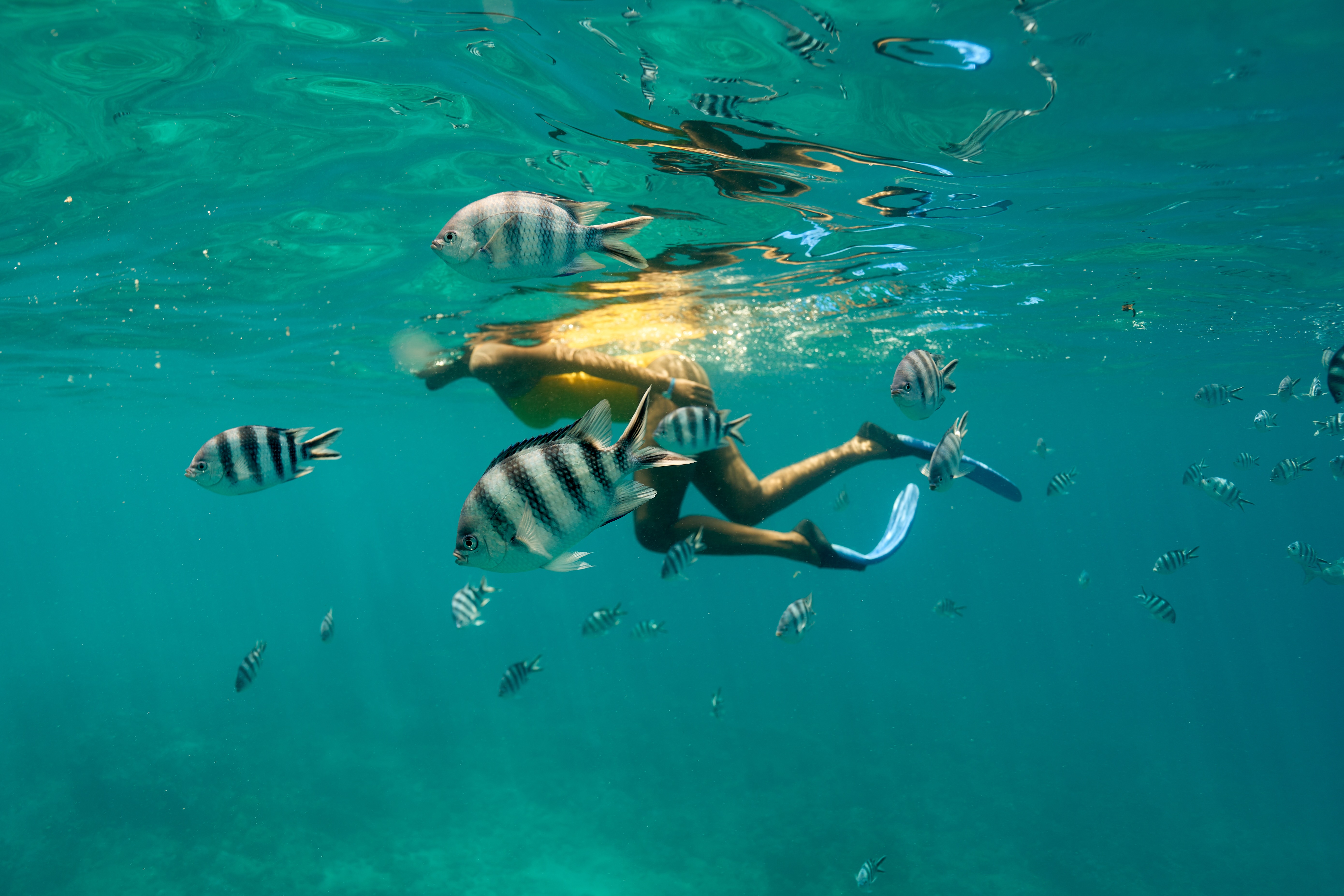 Immagine di sfondo della pagina Digital Detox: la nuova frontiera del benessere secondo Club Med