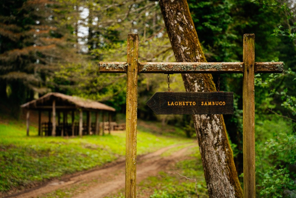 Immagine Al via il progetto del Parco delle Serre Calabresi legato al ‘Turismo Gentile’.