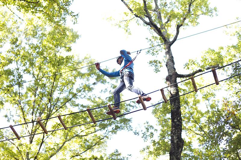 Immagine di sfondo della pagina Parco Avventura Il Gigante: divertimento a Firenze