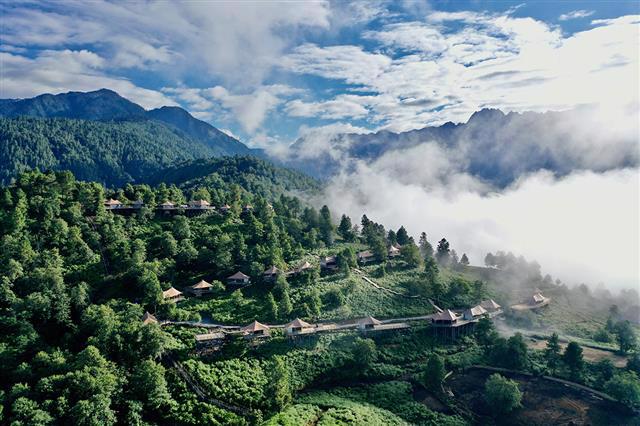 Immagine di sfondo della pagina APOLA presenta le tendenze del glamping 2026: dalla Cina alla Serengeti