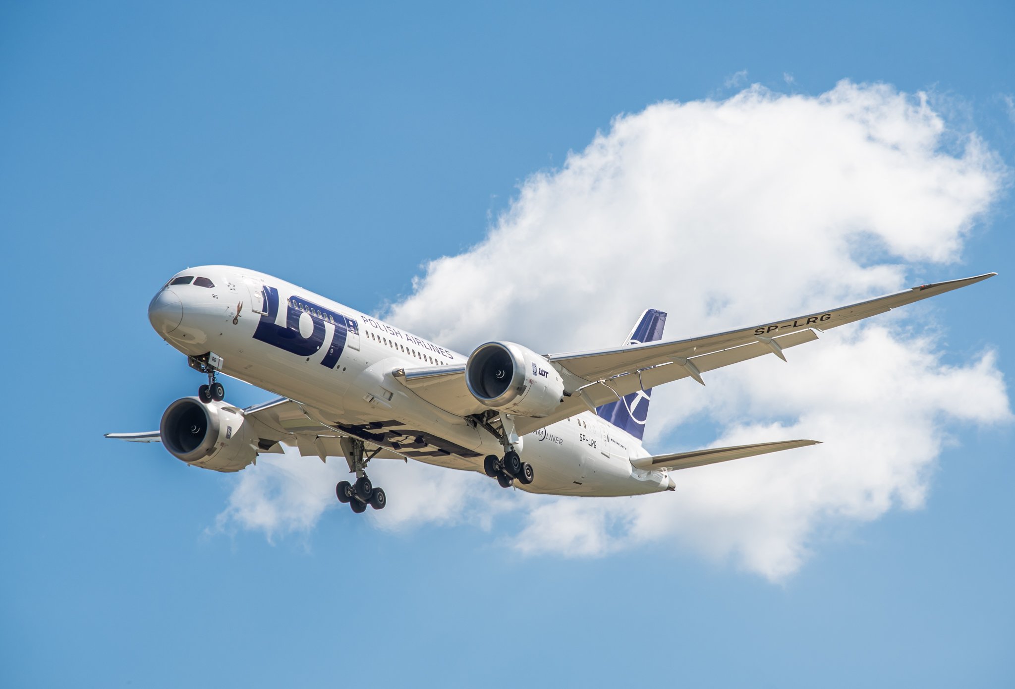 Immagine LOT Polish Airlines chiude il 2025 con risultati record: utili a 350 milioni di PLN e 11,7 milioni di passeggeri