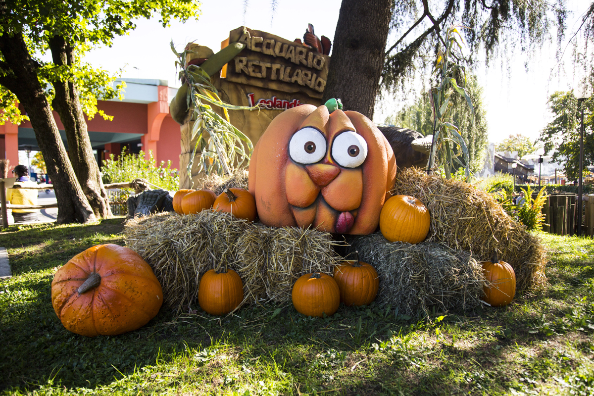 Immagine Leolandia si trasforma: zucche, streghe e spettacoli per un HalLEOween da paura