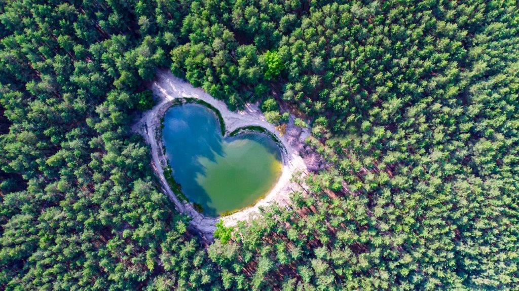 Immagine di sfondo della pagina VOIhotels, nuova collaborazione con Treedom
