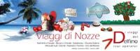 Immagine di sfondo della pagina I Viaggi del Delfino, in arrivo la nuova brochure viaggi di nozze
