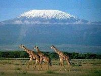 Immagine di sfondo della pagina Con Il Diamante in Kenya e Tanzania