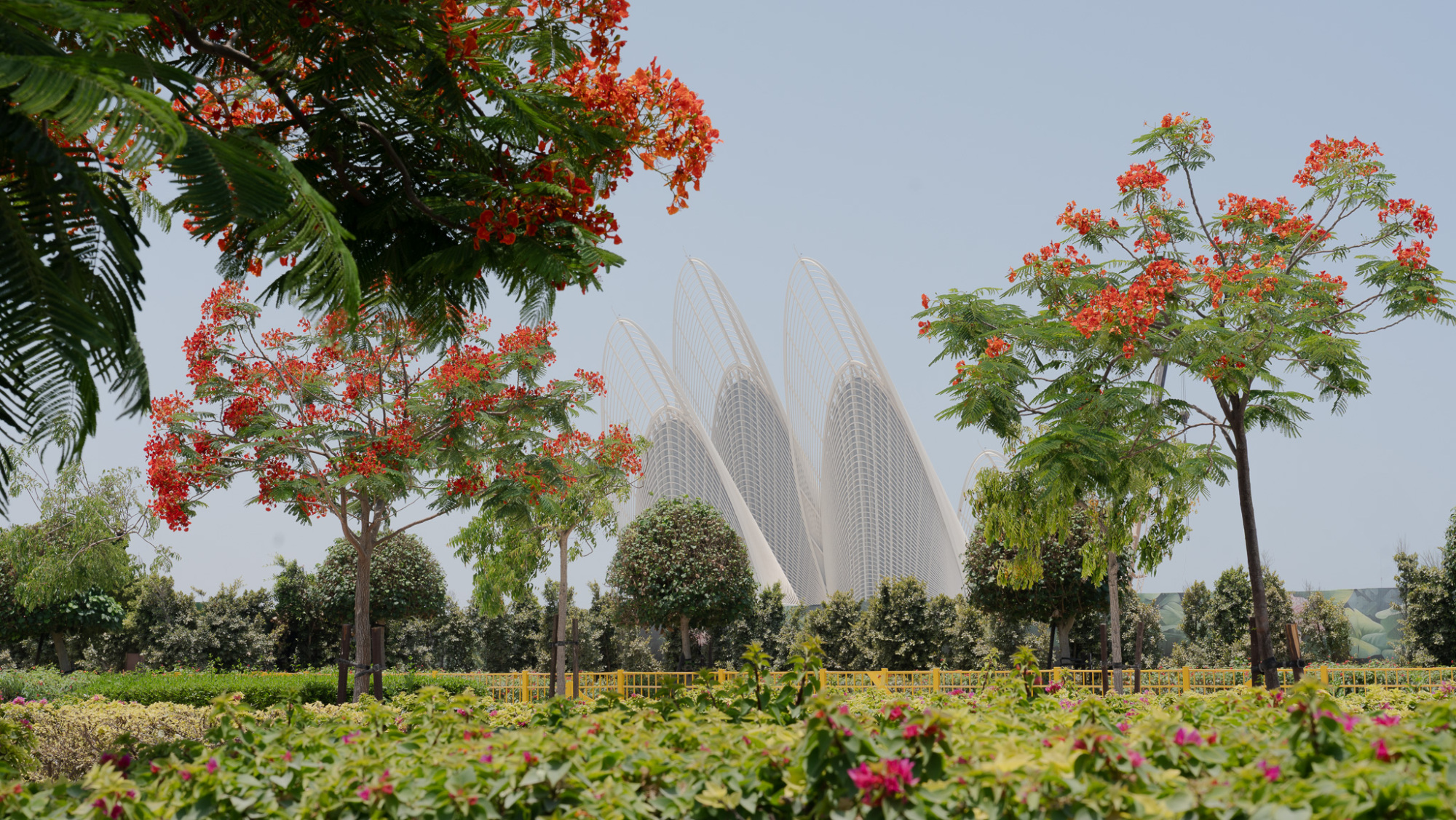 Immagine di sfondo della pagina Lo Zayed National Museum aprirà a dicembre 2025 nel Saadiyat Cultural District di Abu Dhabi