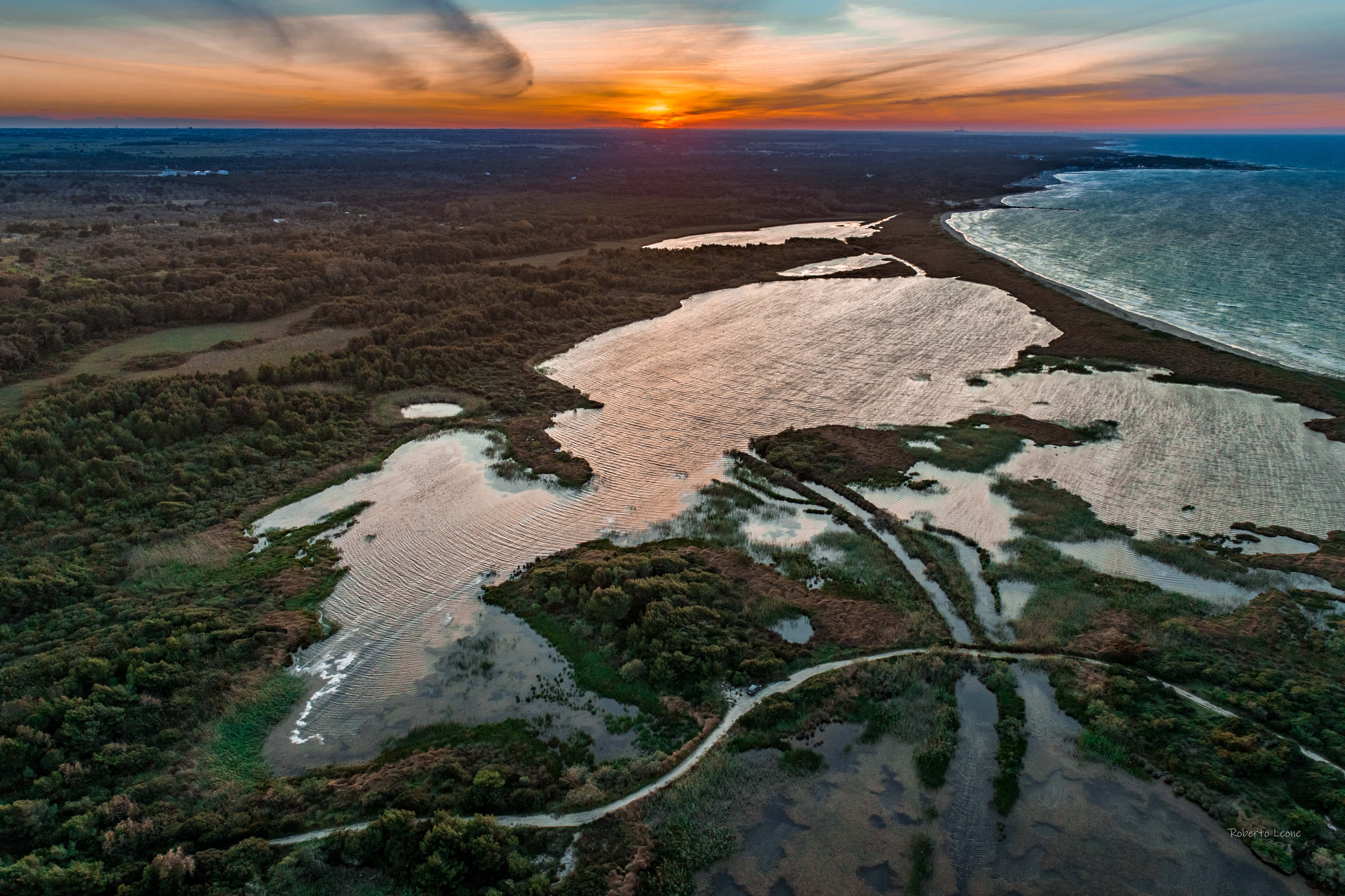 Immagine WWF Italia e VOIhotels insieme per la natura: al via una nuova alleanza tra turismo e sostenibilità