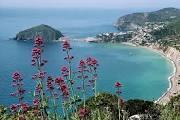 Immagine di sfondo della pagina De Negri su Ischia. No al terremoto mediatico 