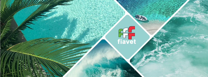 Immagine Fiavet, una poltrona per due