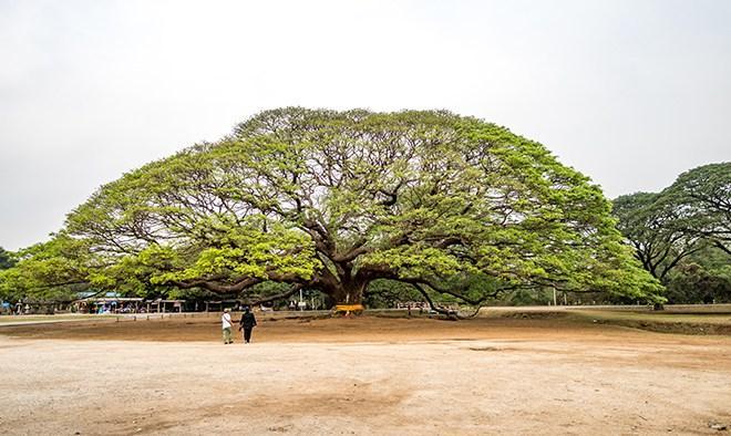 Immagine di sfondo della pagina Thailandia: riflettori su Kanchanaburi