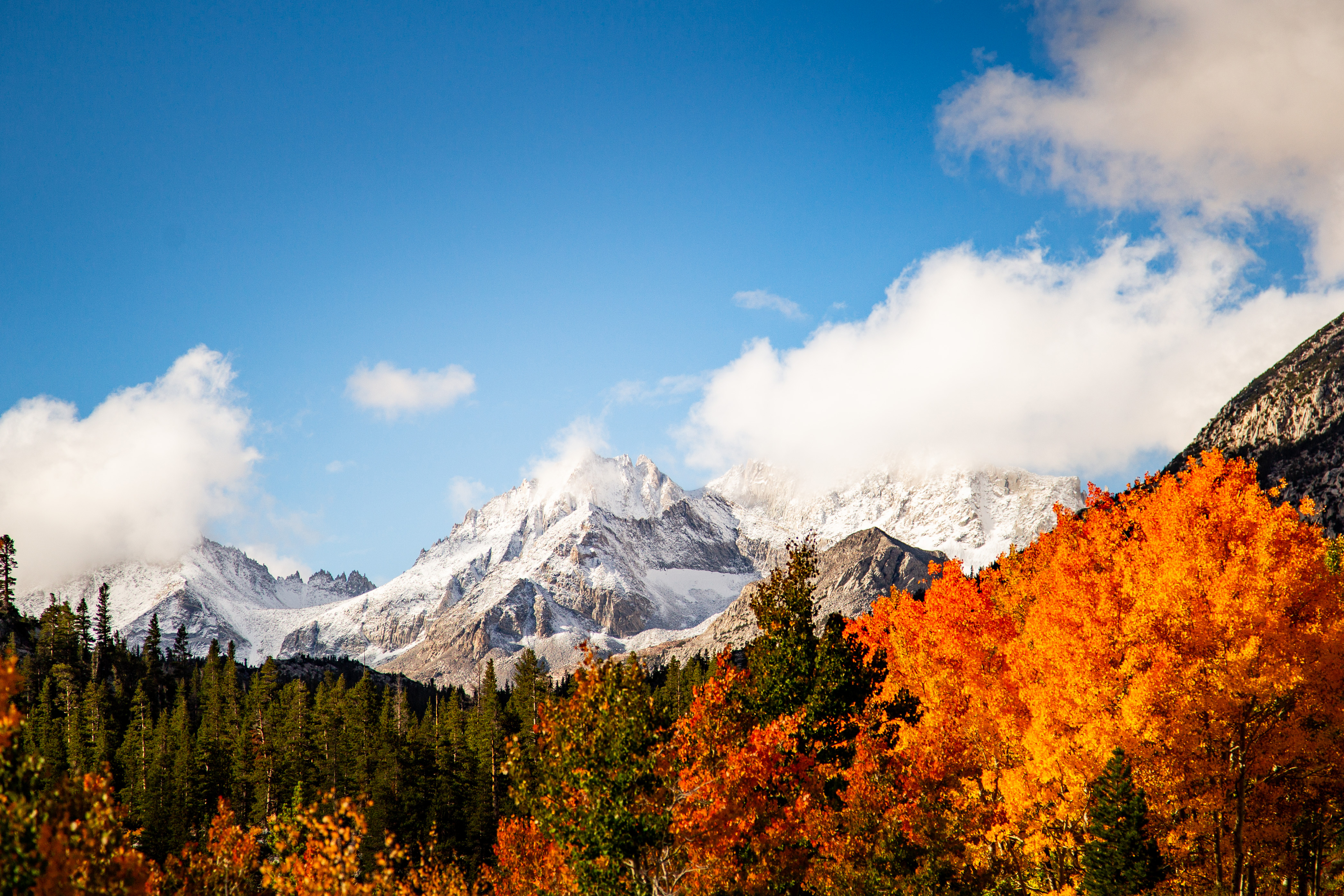 Immagine di sfondo della pagina Mammoth Lakes: il foliage che trasforma la Sierra Orientale in un capolavoro naturale